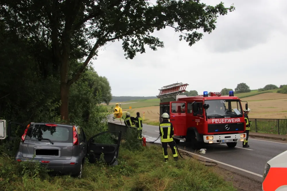 linseunfallgeis2.jpg