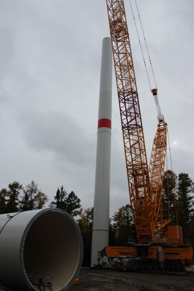 wind fichten1