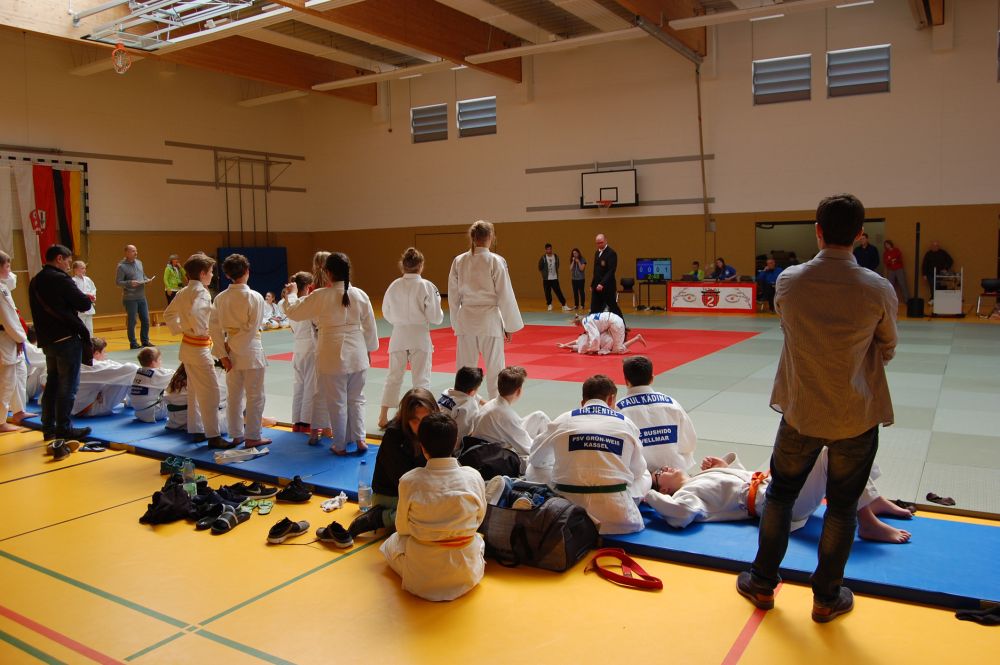 judomain1.jpg