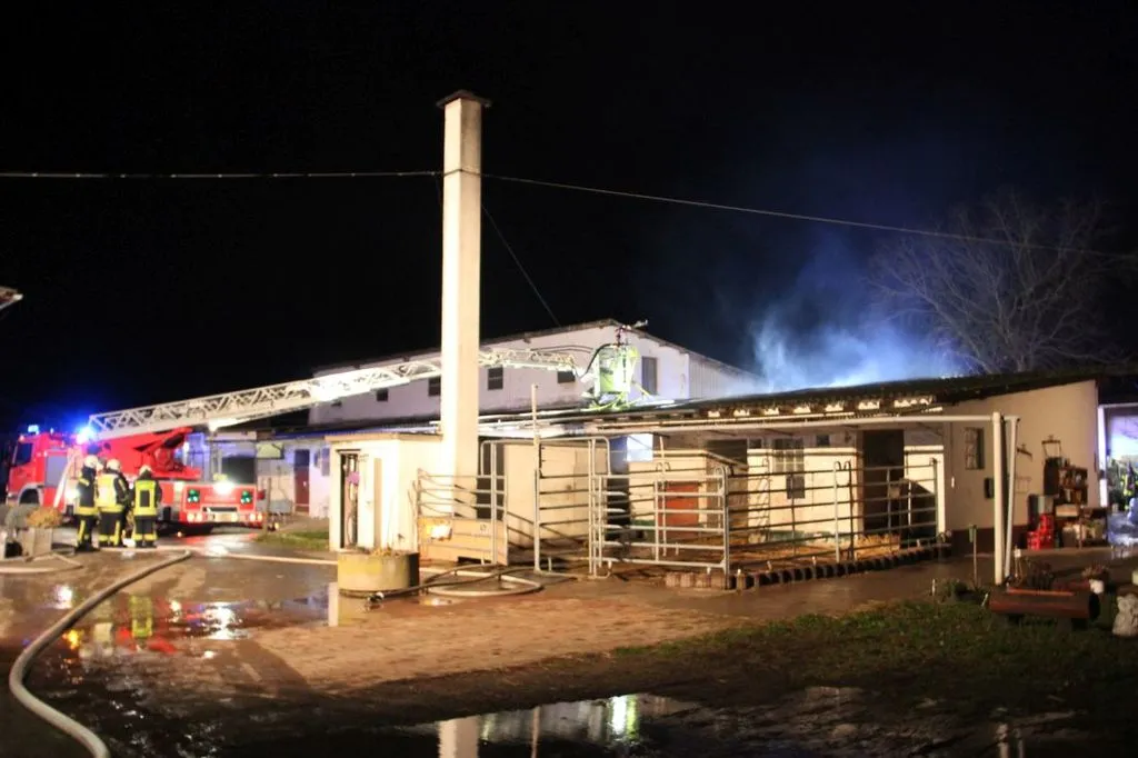 Neuberg: Großeinsatz auf Reiterhof