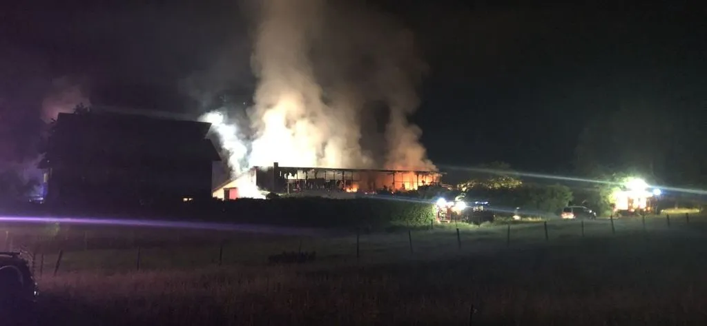 Brand in Freigericht: 150.000 Euro Schaden, 50 Hühner verendet