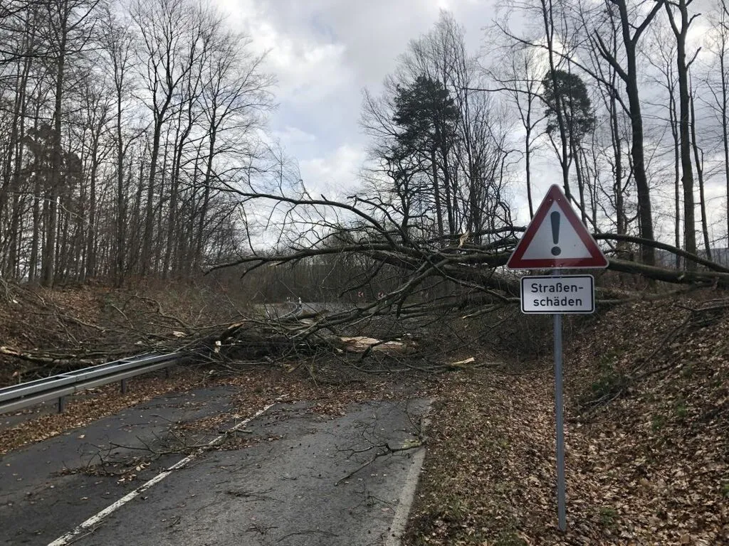 Schwerer Windbruch zwischen Hof Trages und Oberrodenbach