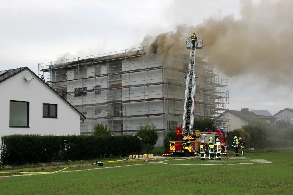 brandrodendach2.jpg