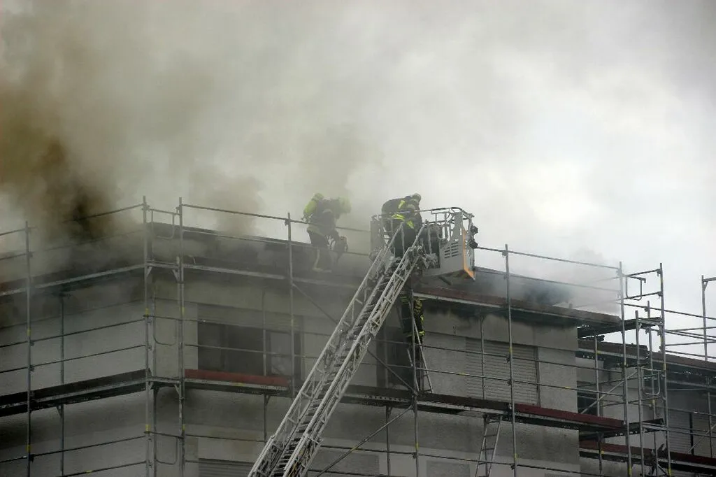 brandrodendach6.jpg