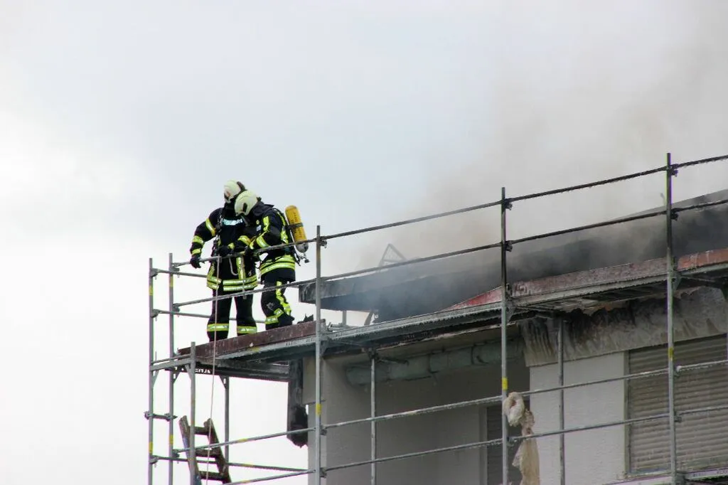 brandrodendach7.jpg