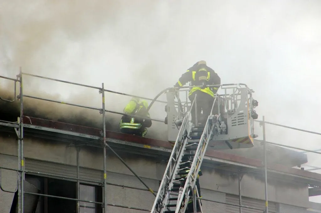 brandrodendach8.jpg