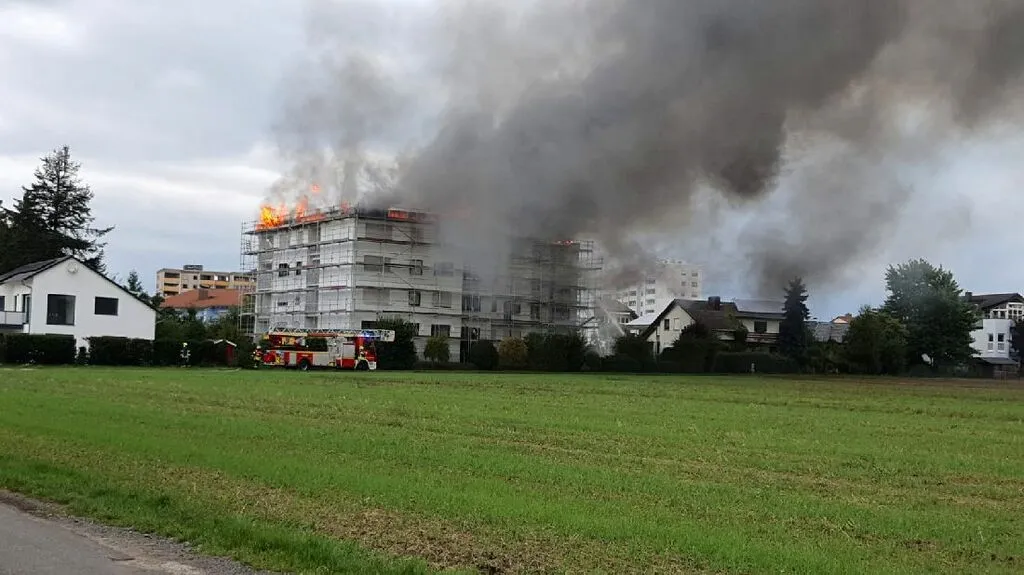 brandrodendach9.jpg