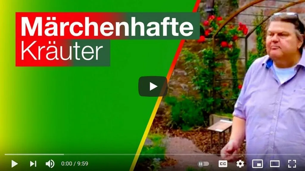 Märchenhafte Kräuter: Zu Besuch im Brüder-Grimm-Haus in Steinau