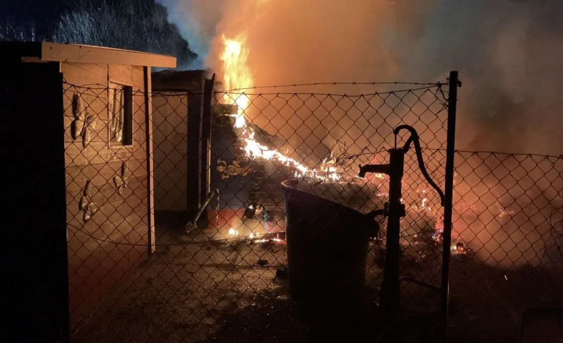 Freigericht: Gartenhütte geht in Flammen auf