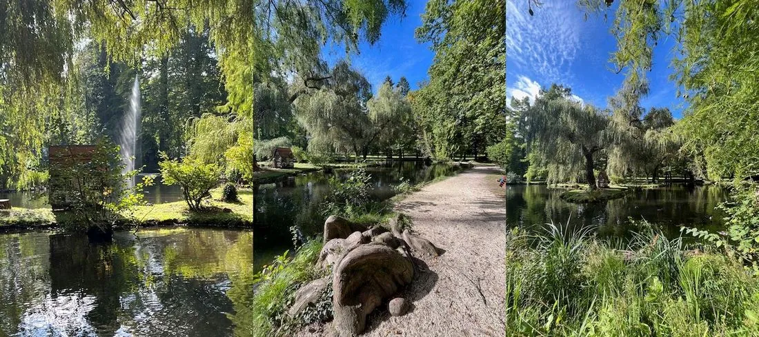 Leser-Fotos: So schön ist der Main-Kinzig-Kreis