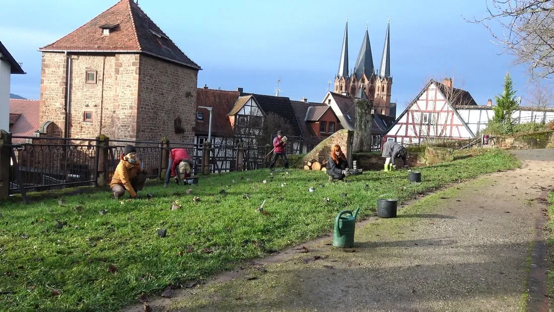 People for Future starten Projekt im Stadtgarten