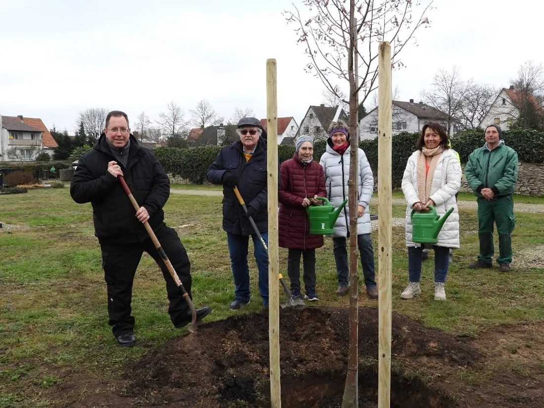 Eine neue Linde für den Friedhof Rückingen