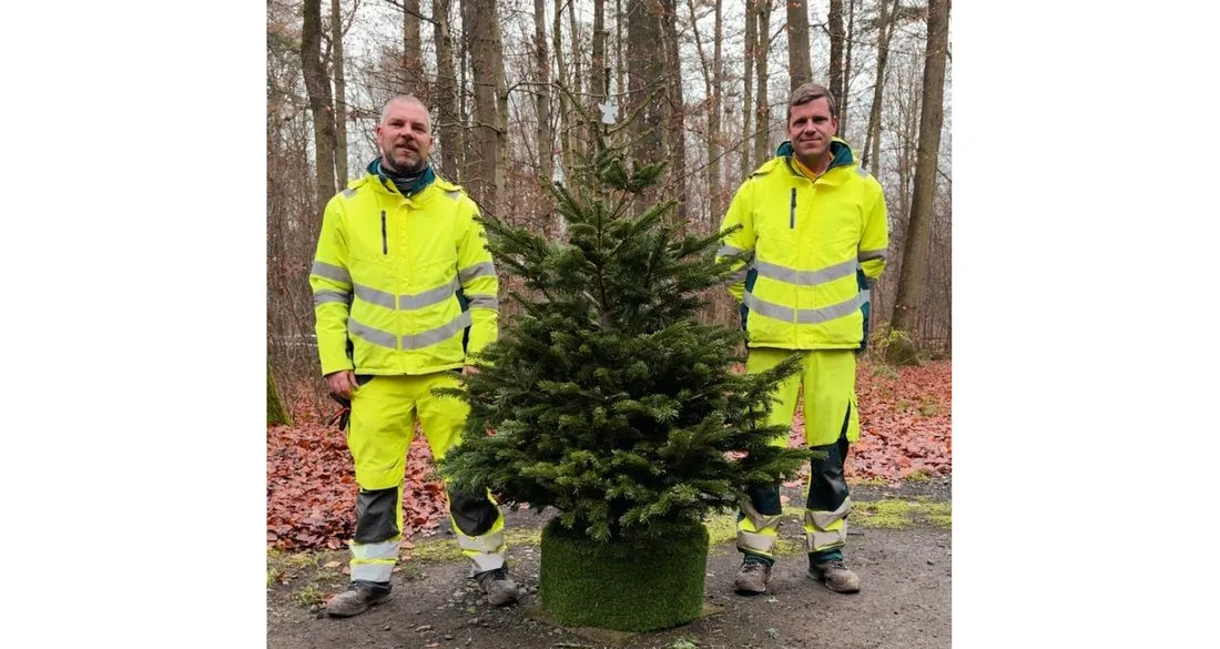 Bestattungswald an Weihnachten: Gedenkbaum als zentraler Punkt für die Andacht