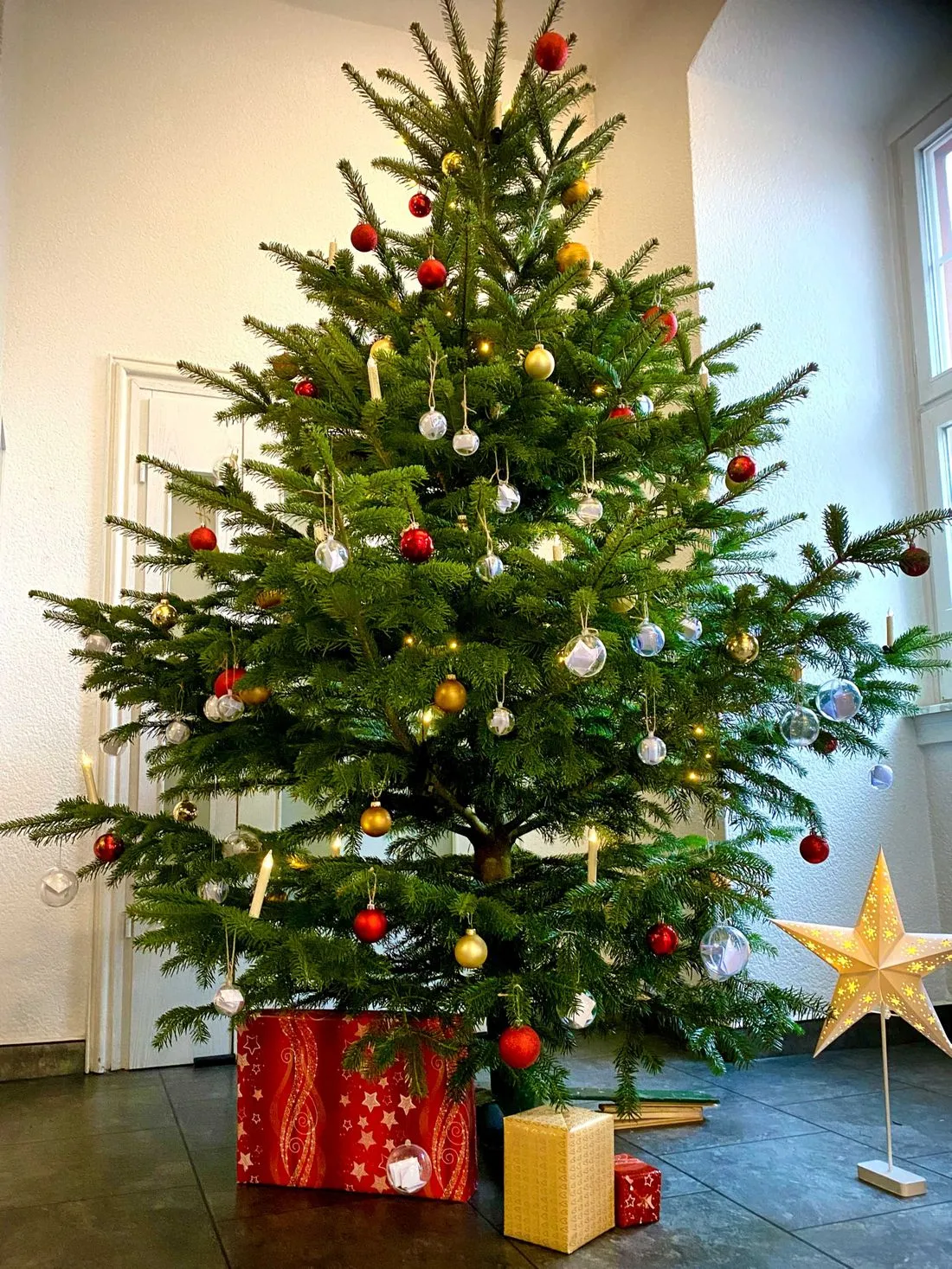 Start der Wunschbaum-Aktion