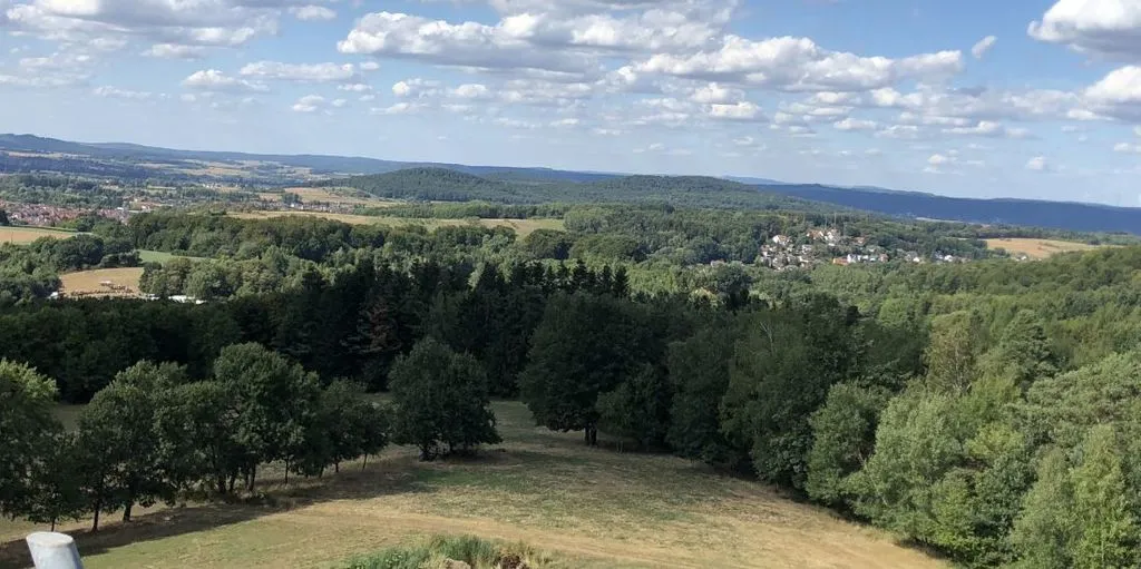 Sommer 2025: Warm und feucht mit trockeneren Phasen
