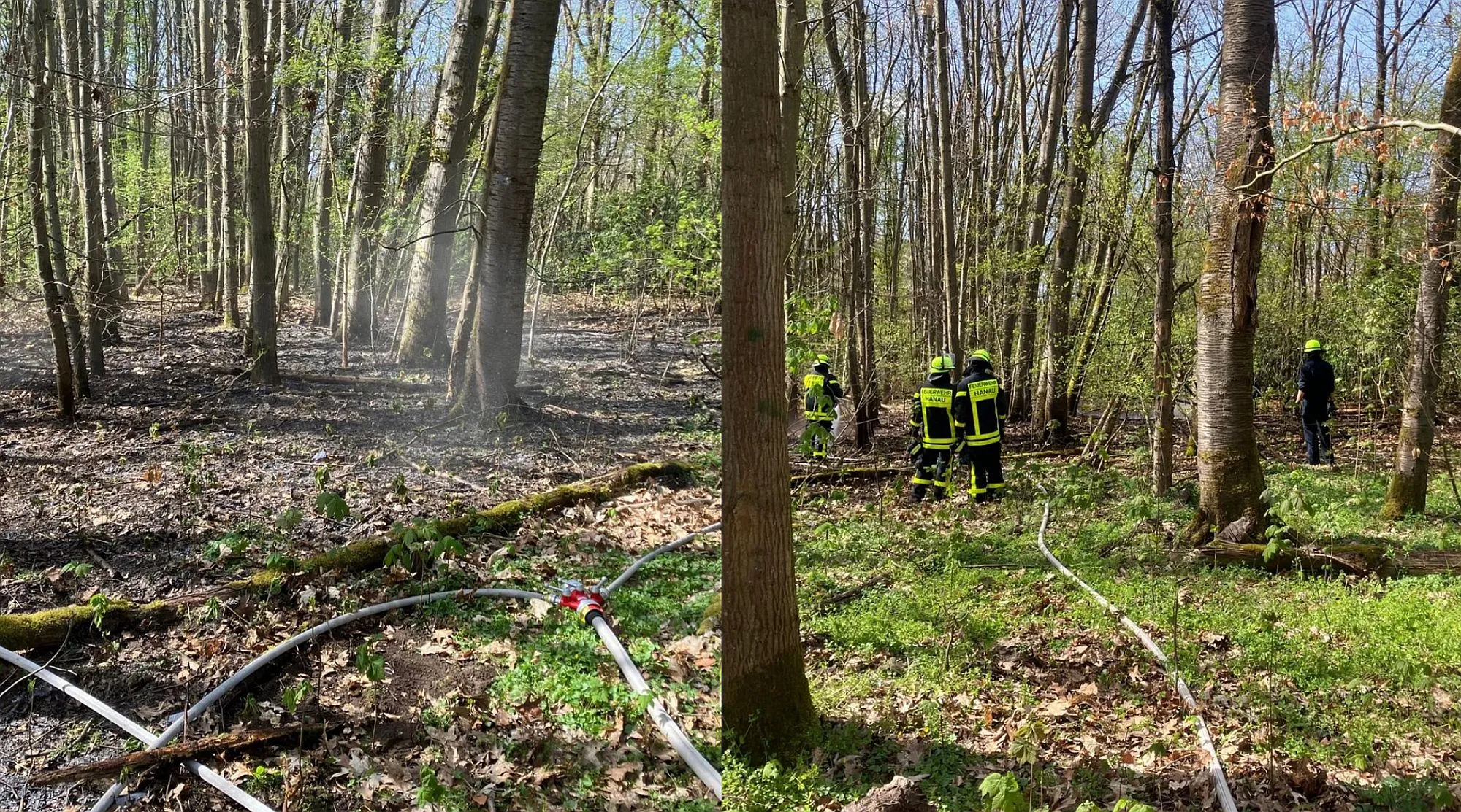 Hanau: Feuerwehr löscht brennenden Waldboden in Kesselstadt