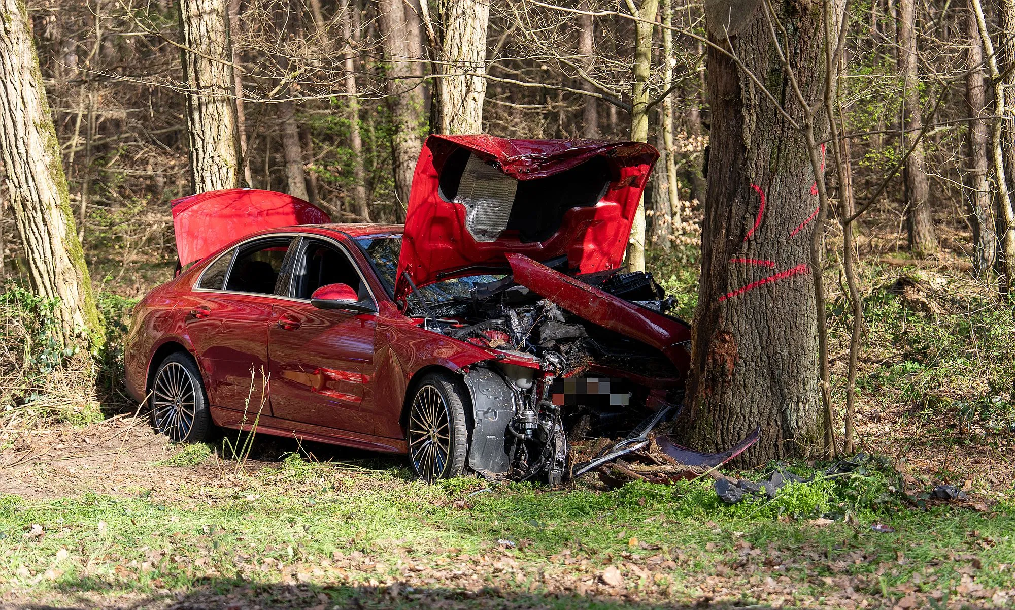 Landkreis Offenbach: Mercedes kracht frontal gegen Baum