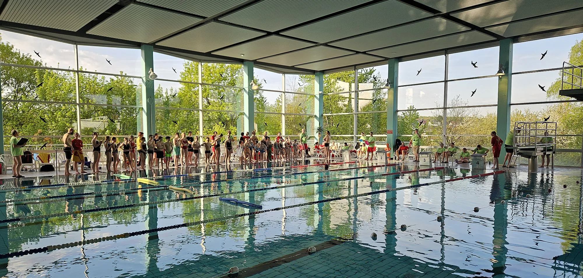 Bezirksmeisterschaften der DLRG im Rettungsschwimmen