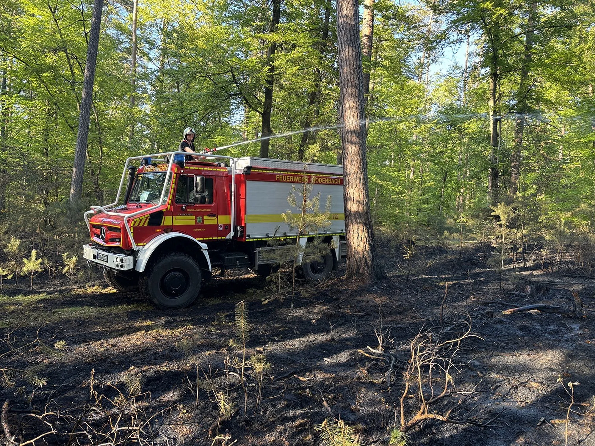 Rodenbach: Größerer Waldbrand beschäftigt Feuerwehren
