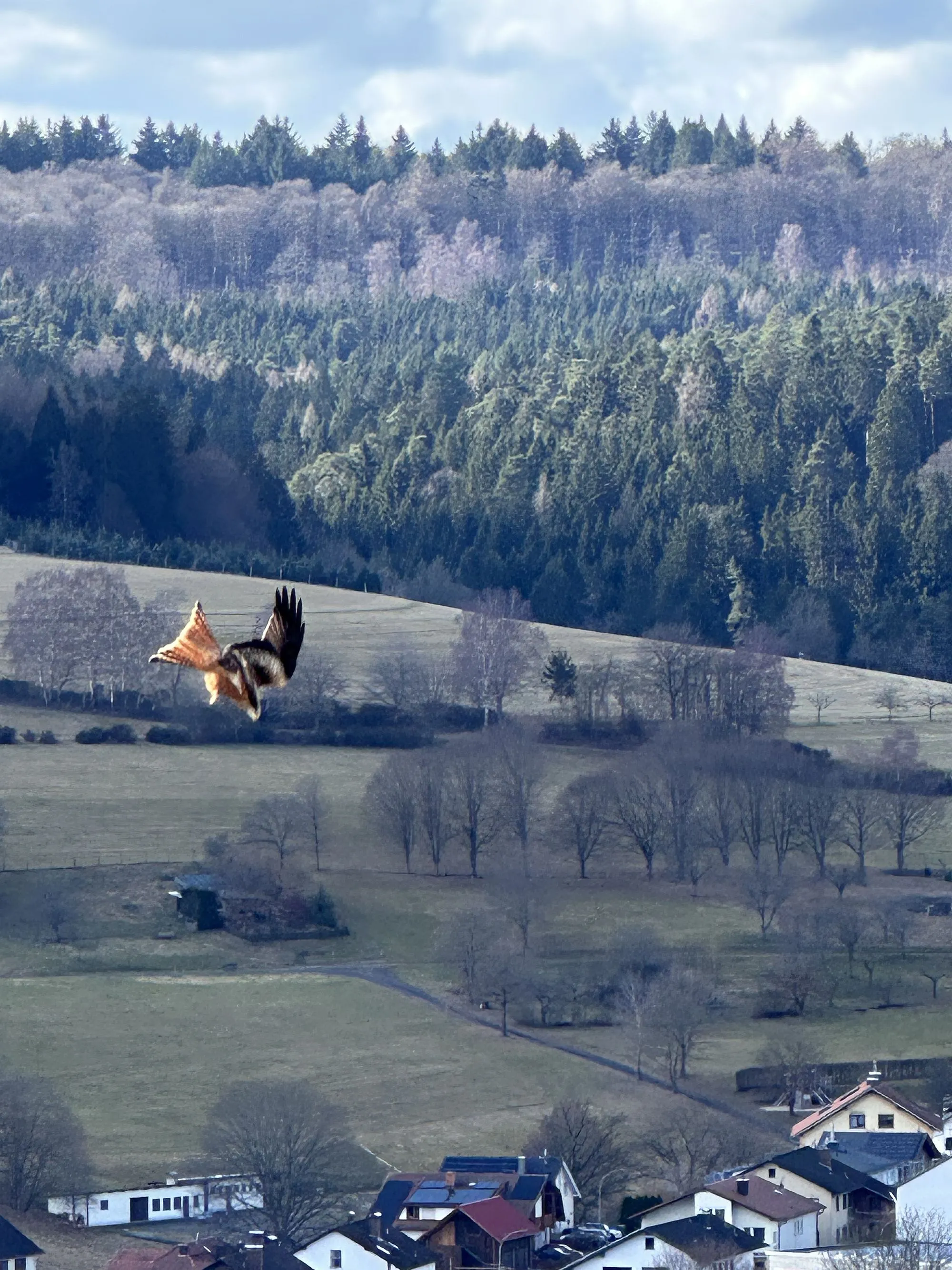 werthmannjossgr az1