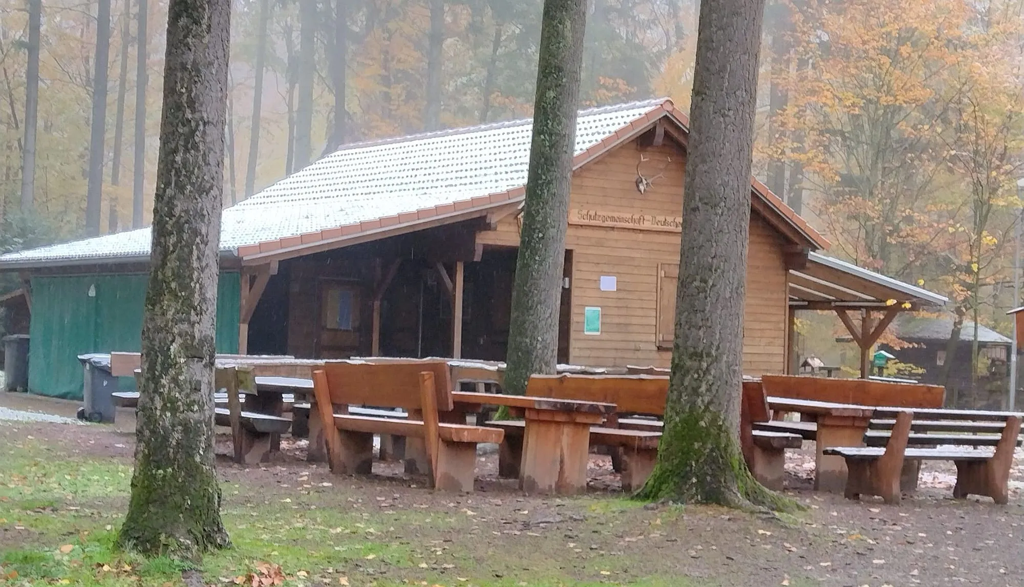 Die Natur lädt ein: Am 1. Mai zur „Dicken Tanne“