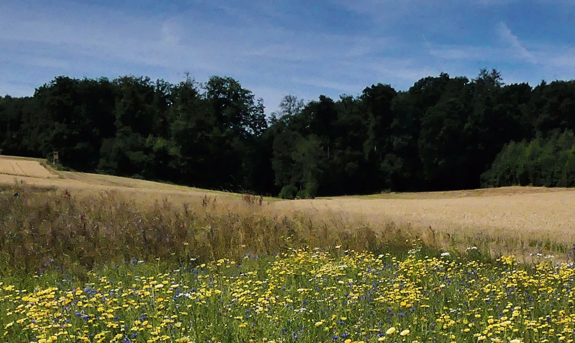 Durch die Natur auf einer Spessartspur