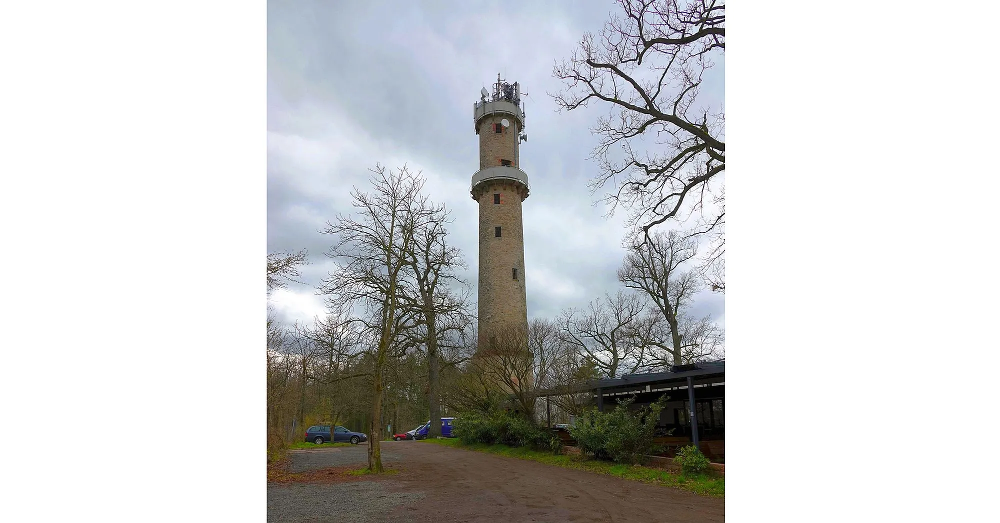 Waldwanderung durch den Buchberg