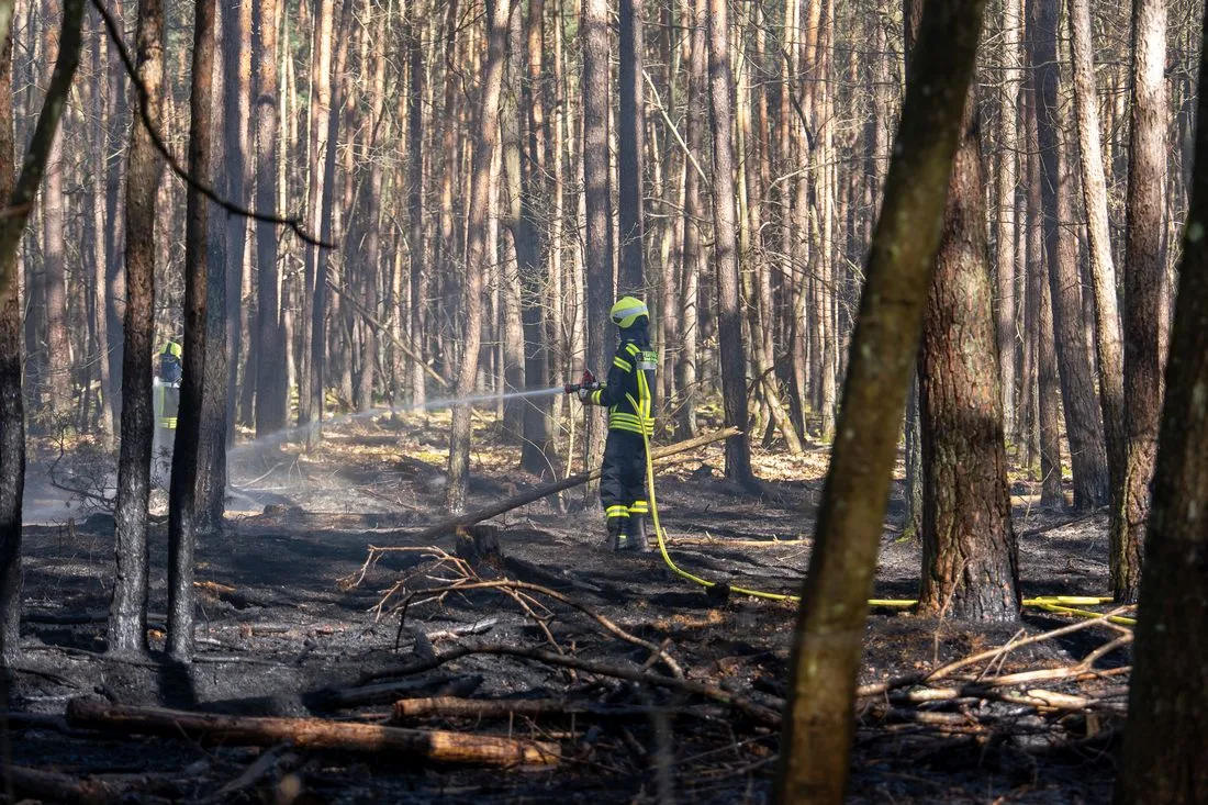 Rodgau: 3.000 Quadratmeter Waldboden in Flammen