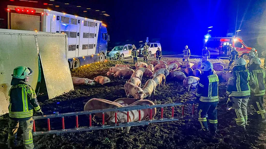 lkwschweineunfall az1