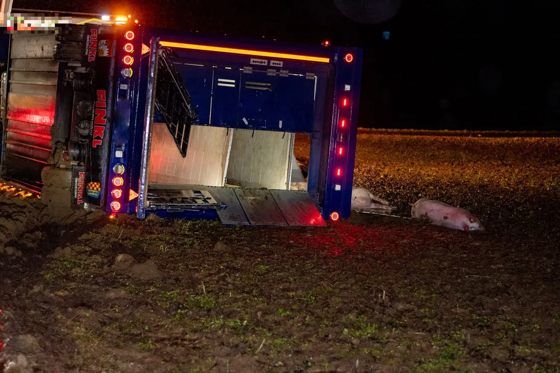 lkwschweineunfall az7