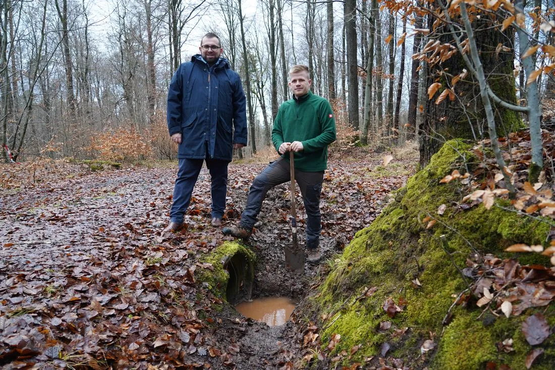 Hochwasserschutz beginnt im Wald