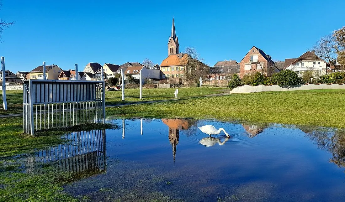 Leser-Fotos: So schön ist der Main-Kinzig-Kreis