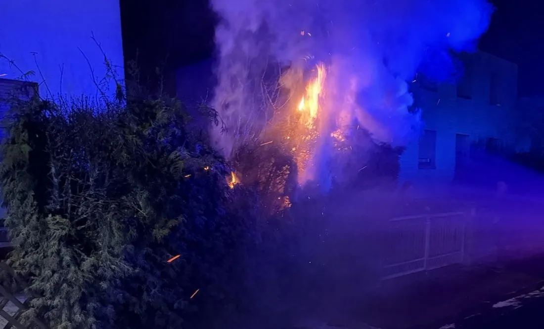 Gelnhausen: Hecke mit Feuerwerkskörpern in Brand gesetzt