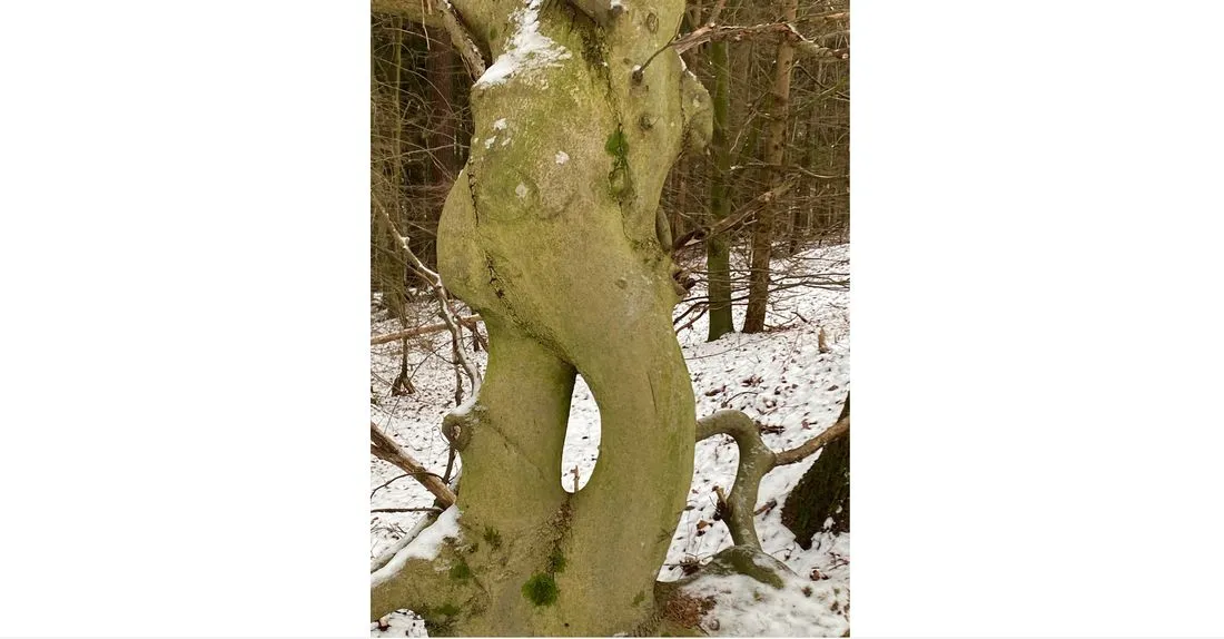 Leser-Fotos: So schön ist der Main-Kinzig-Kreis
