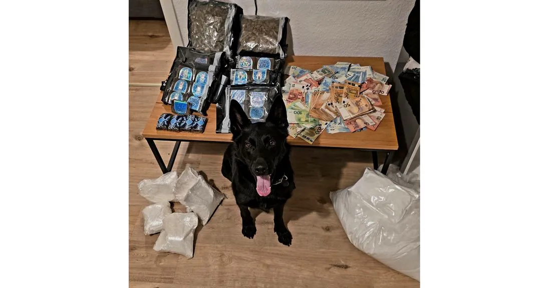 Neu-Isenburg: Polizeihund "Shadow" spürt kiloweise Drogen auf