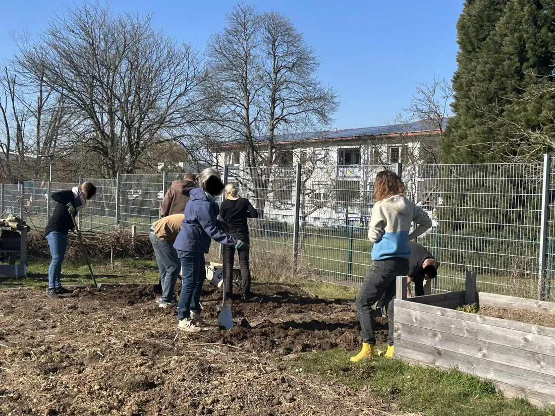 Geschwister-Scholl-Schule gewinnt Umweltpreis für Biodiversität