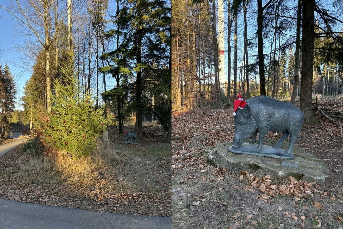 Leser-Fotos: So schön ist der Main-Kinzig-Kreis
