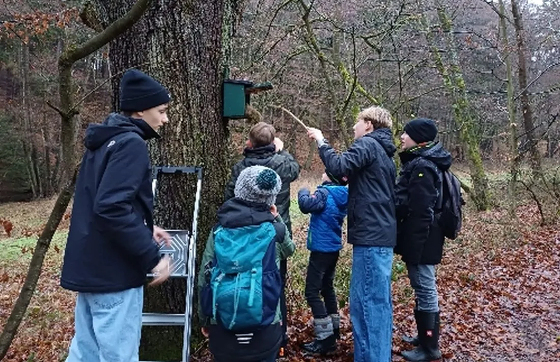 Mit der Naturschutzjugend die Natur erkunden