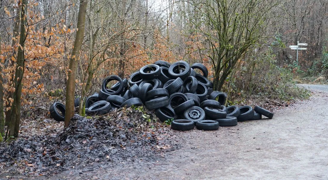 Freigericht: Über 70 Autoreifen im Wald bei Hof Trages entsorgt