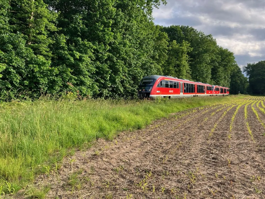 Ausbau der Niddertalbahn stärkt ÖPNV in Nidderau