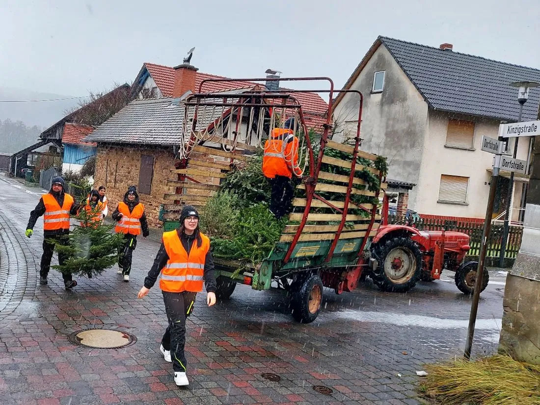 Bad Soden-Salmünster: Jugendfeuerwehr sammelt 1.192 Weihnachtsbäume ein