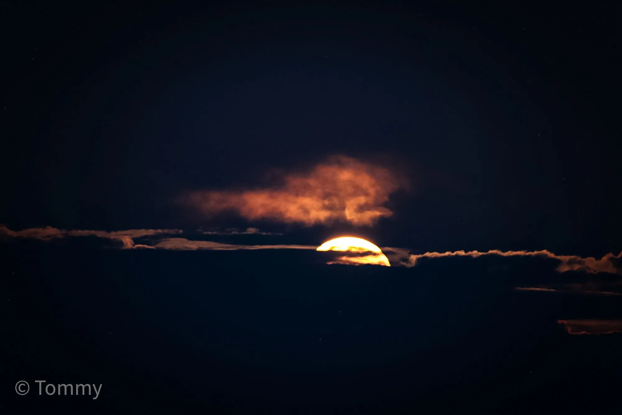 tommyerdbeermond az