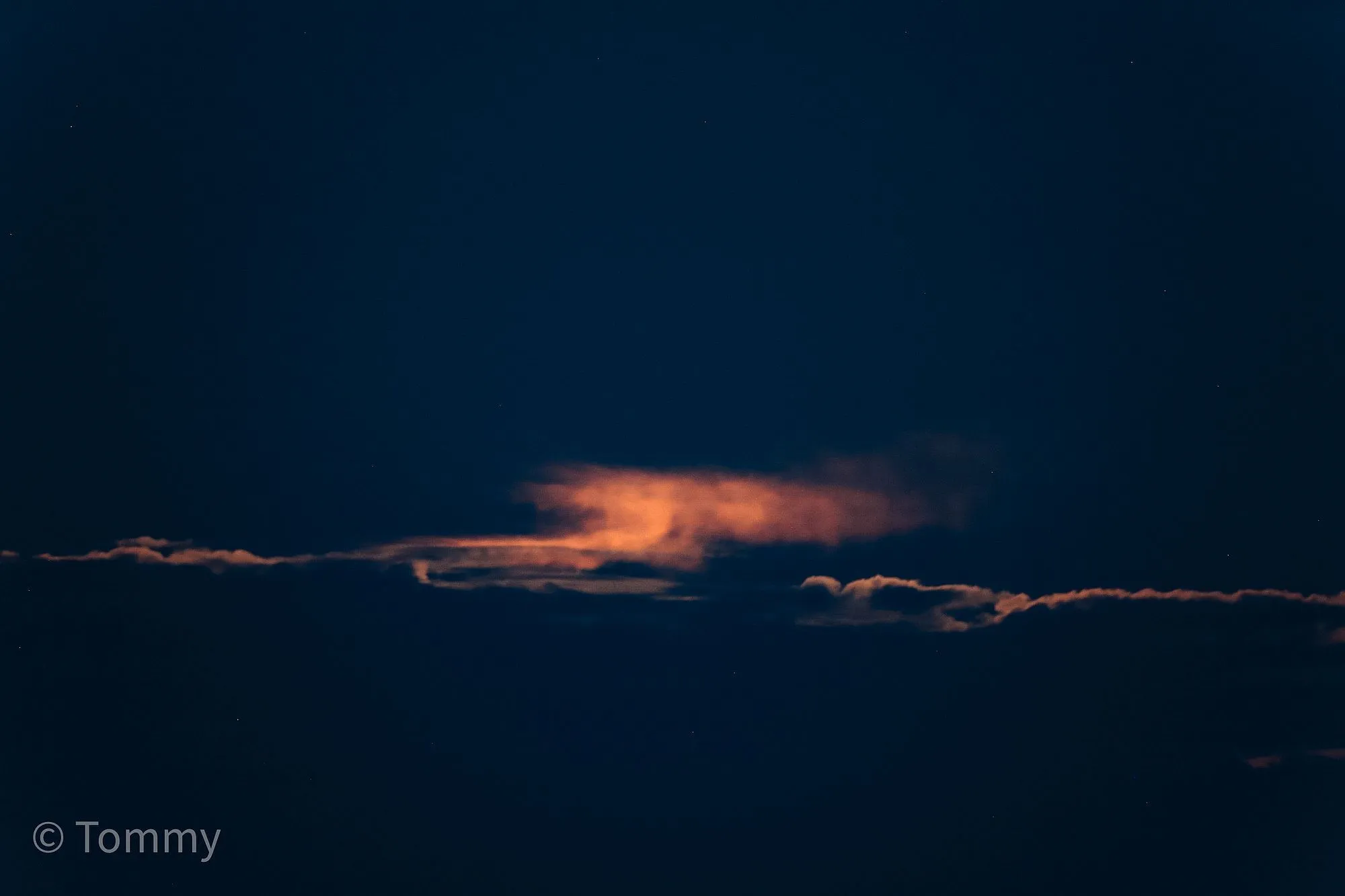 tommyerdbeermond az1