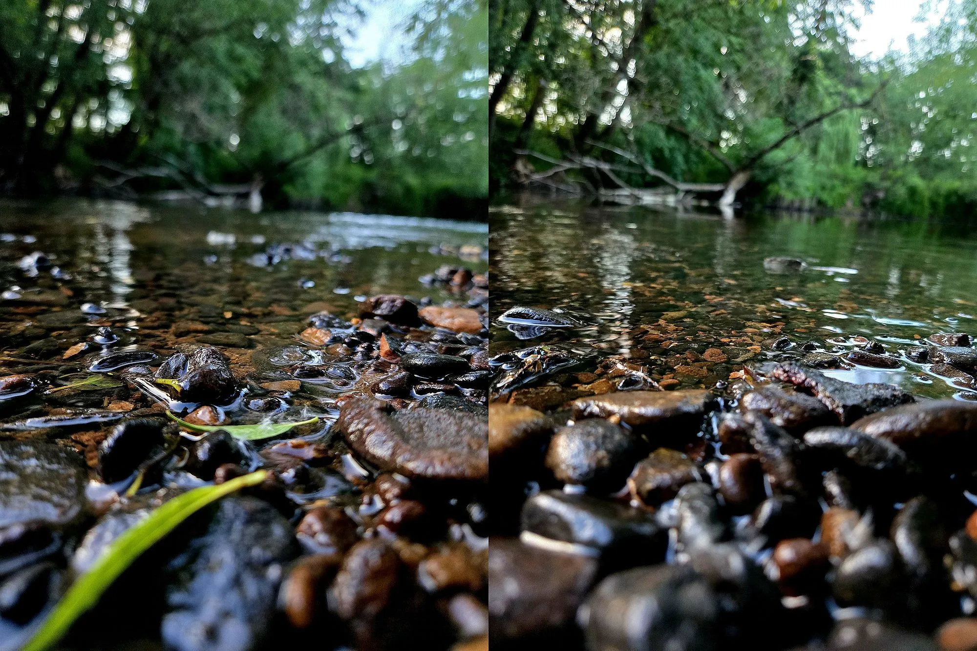 Leser-Fotos: So schön ist der Main-Kinzig-Kreis