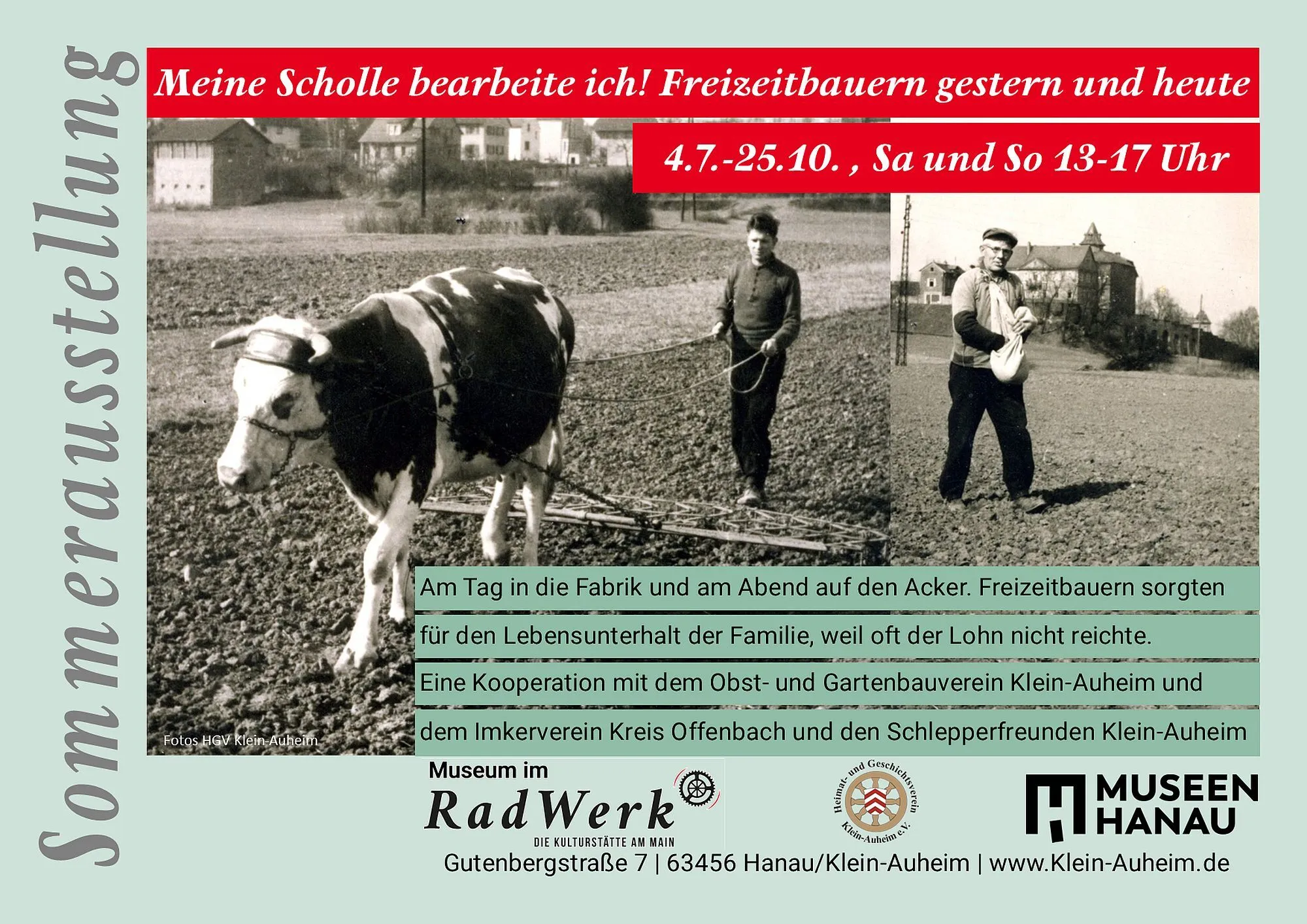 meinescholle az