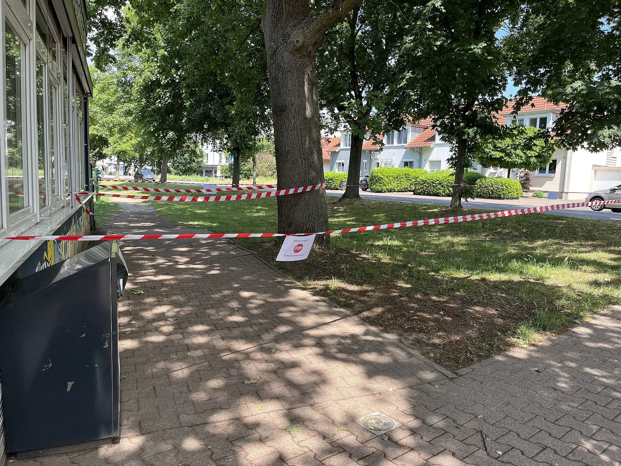 Stadtbücherei wegen Eichenprozessionsspinner geschlossen