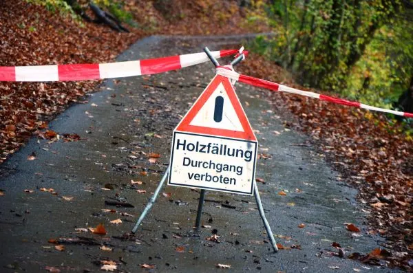 Wegeschäden durch Waldarbeiten im Somborner Gemeindewald