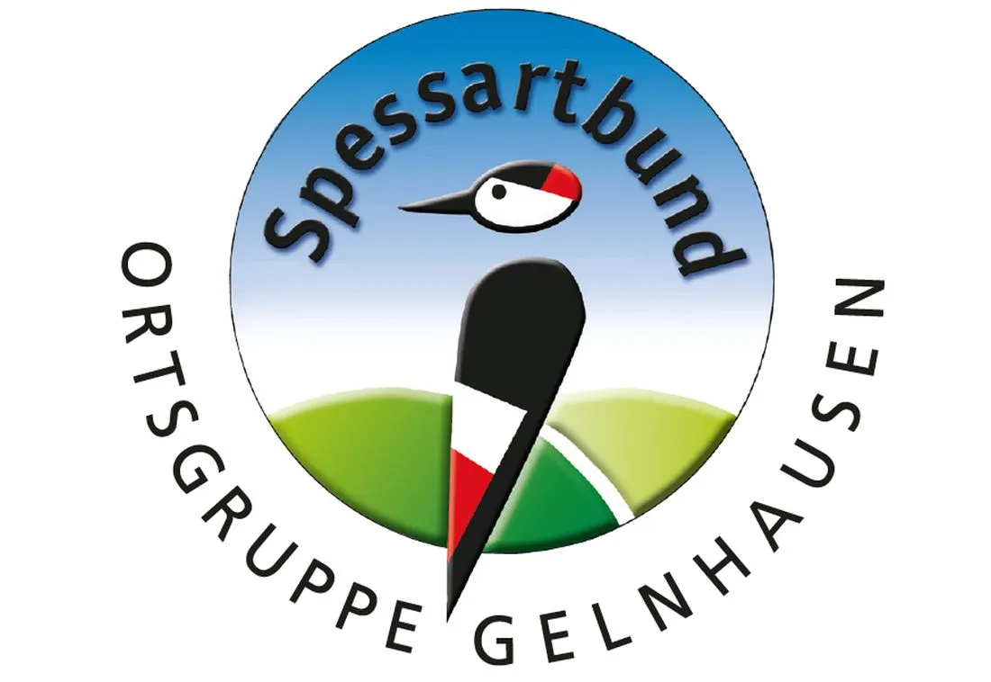 Wanderung des Spessartbundes entlang der Ronneburg