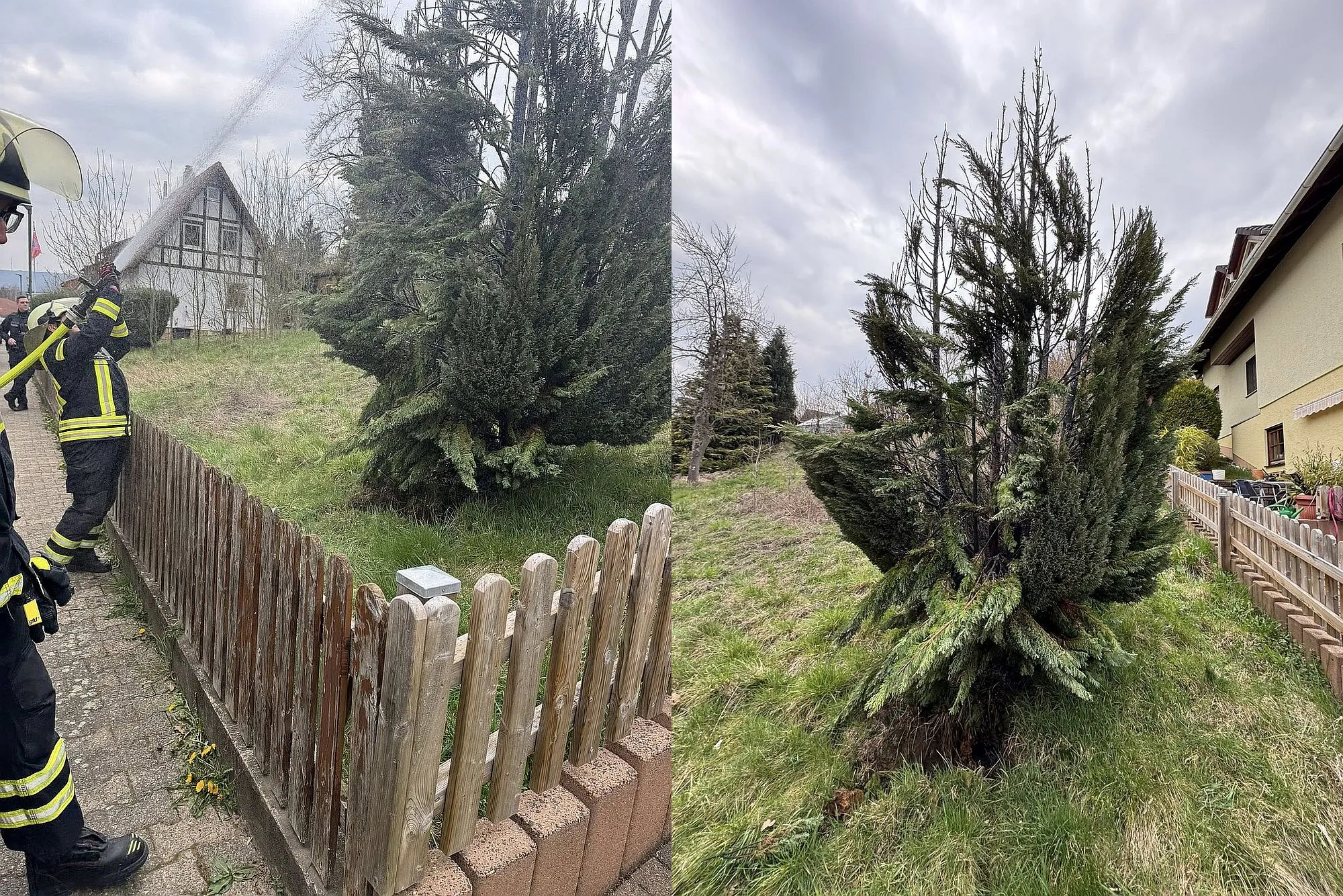 Bad Orb: Feuerwehr und Anwohner löschen brennenden Baum