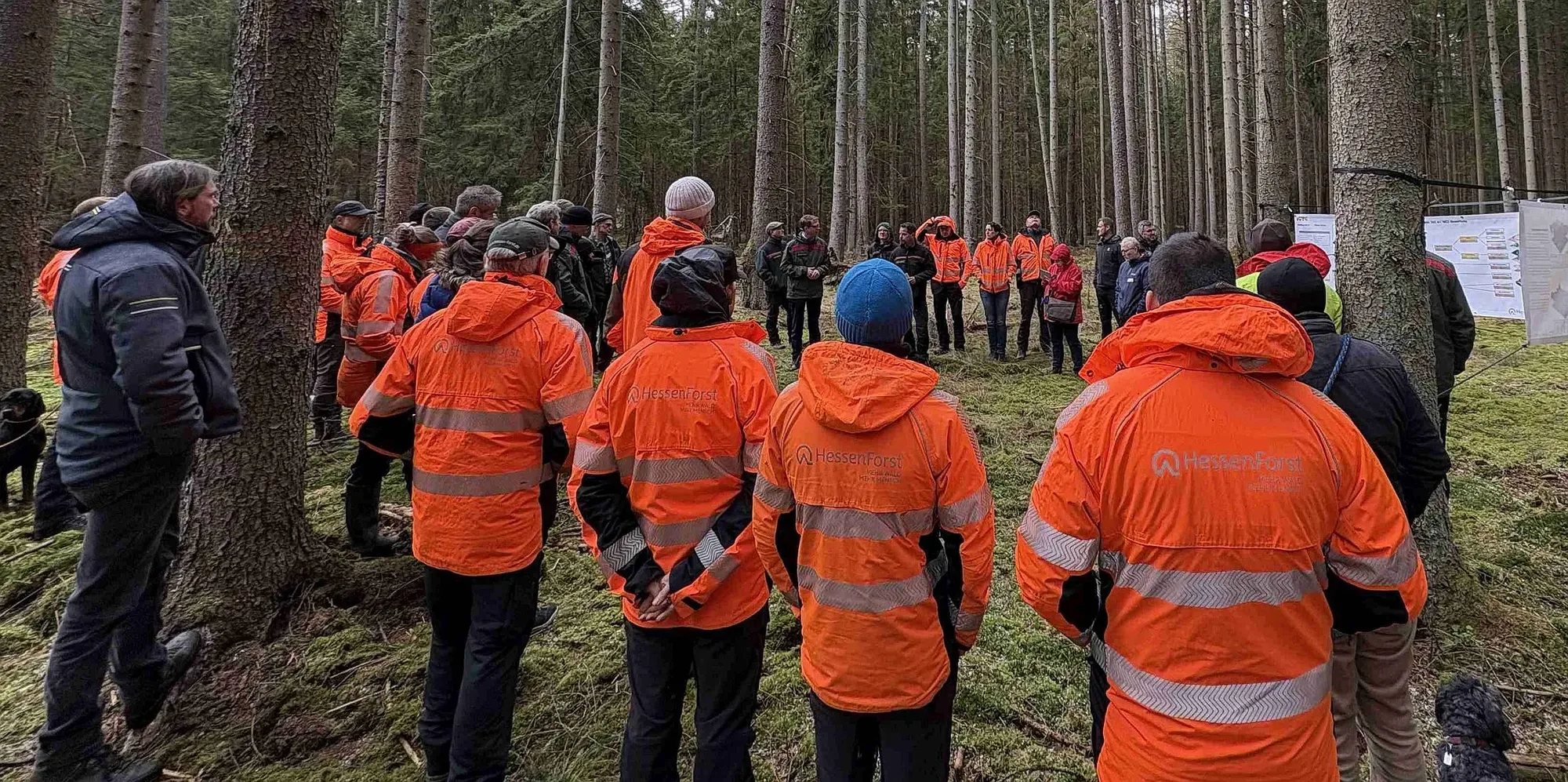 Hessen: Mehr Klimaschutz durch aktiven Waldumbau